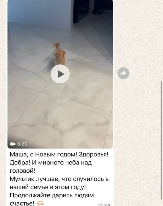 Сообщение от владельца щенка мальтипу