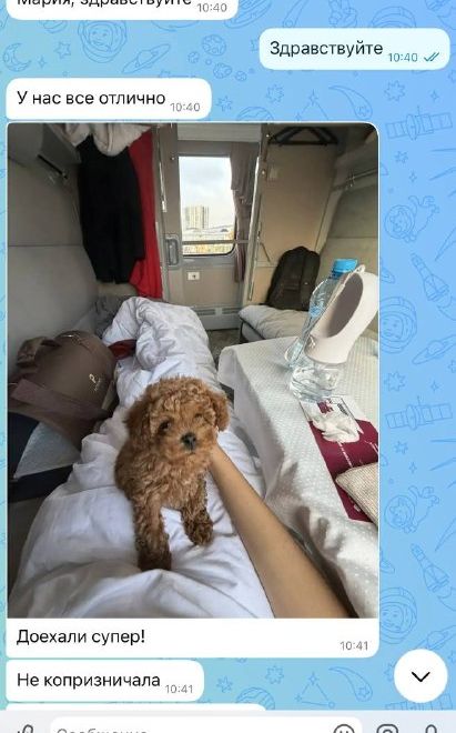 Сообщение от владельца щенка мальтипу